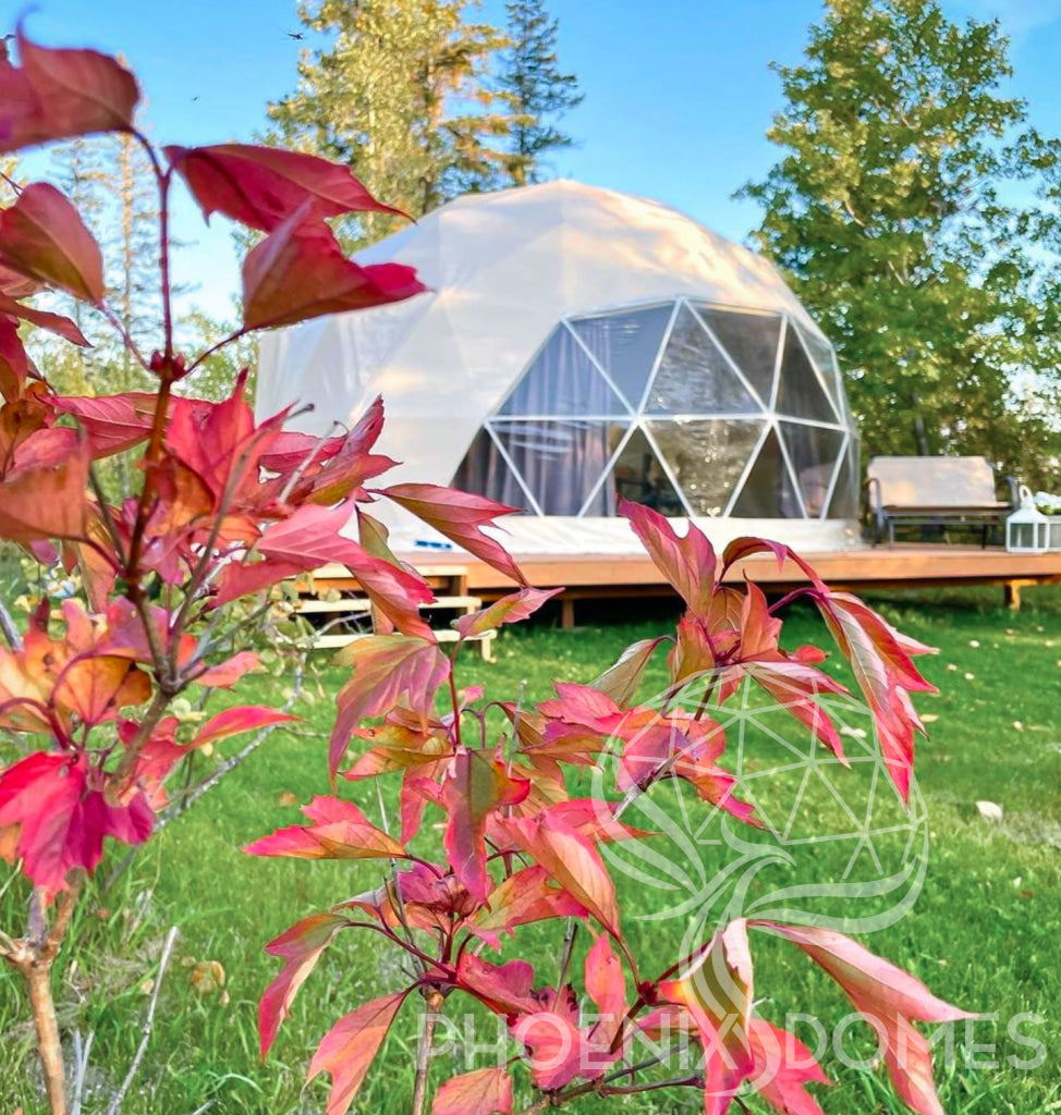 20/6M Dome